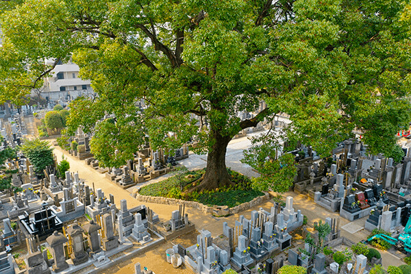 広尾の杜について01