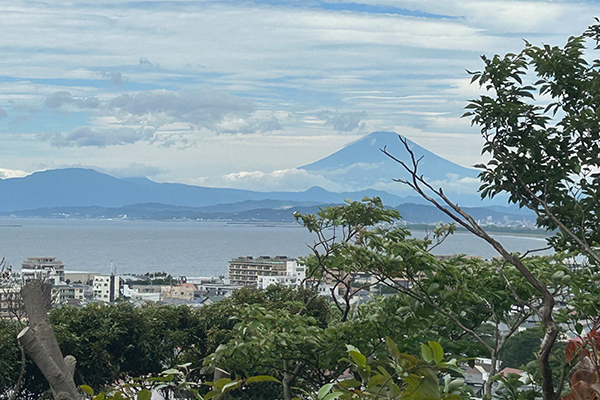 江ノ島 龍口の杜について01